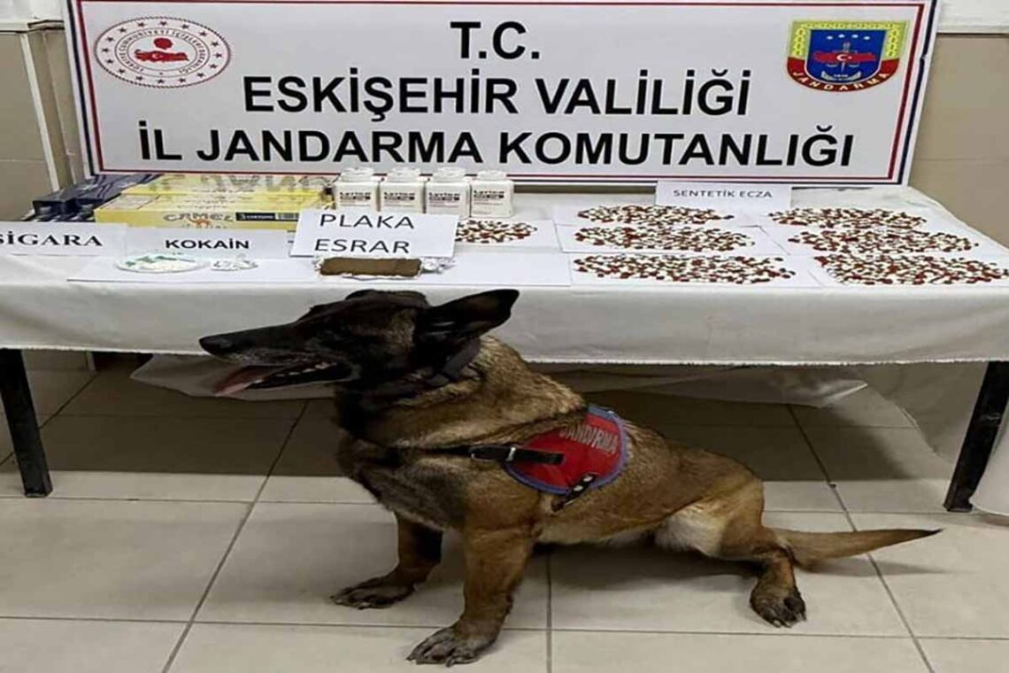 Fotoğraf: İHA