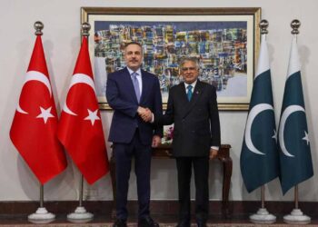 Türkiye-Pakistan diplomatik buluşması: Fidan ve Dar görüştü