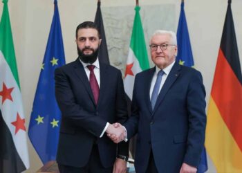 Almanya Cumhurbaşkanı Steinmeier, Suriye Devlet Başkanı eş-Şara’yı ağırladı