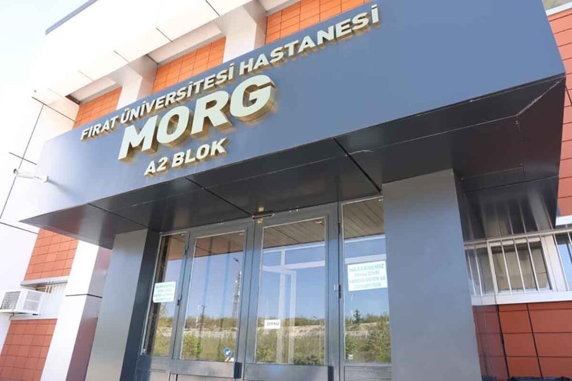 Fotoğraf: İHA