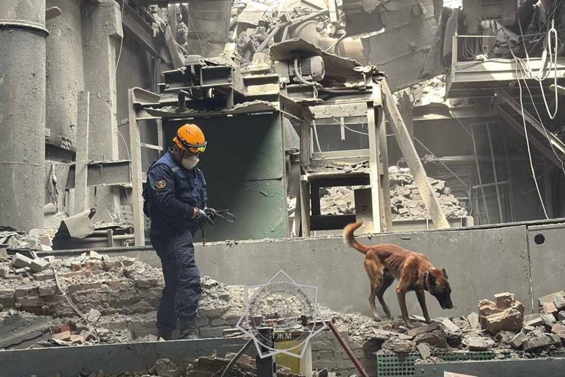 Fotoğraf: İHA
